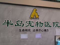 -半岛宠物医院24小时(科华中路店)