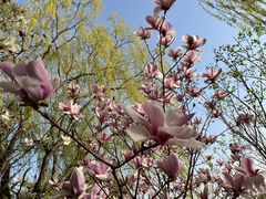 -大兴滨河森林公园