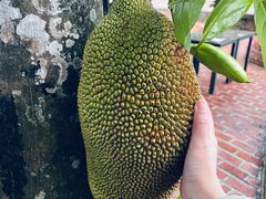 -侯臣咖啡文化村