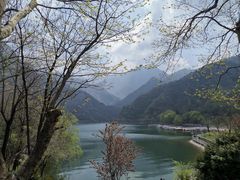 -终南山国家森林公园