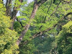 -桂林独秀峰王城景区