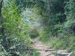 -五龙洞国家森林公园