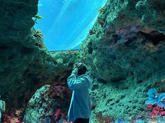 -南昌融创海世界