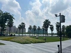 -金沙湖公园