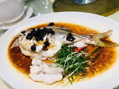 清蒸桂花鱼-凤城酒家(环市西路店)