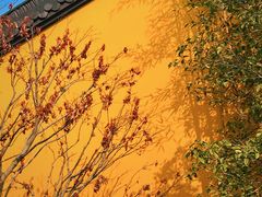 -上海青龙寺