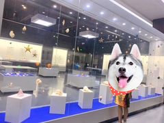 -贝壳王国博物馆