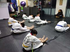 -金翼跆拳道巴西柔术拳击格斗学院