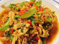 -壹盏灯(惠农店)