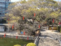 -石炮台公园
