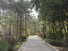 -冶父山国家森林公园