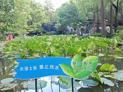 -人民公园-相亲角