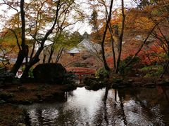 -醍醐寺