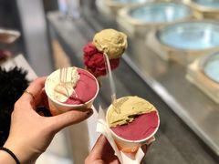 -Dip in Gelato(富民路店)