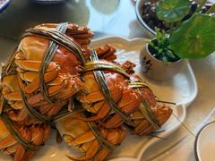 -水岸居湖景农家乐·阳澄湖大闸蟹