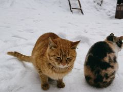 -终南山南五台景区