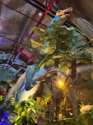 -恐龙探索乐园(磁器口店)