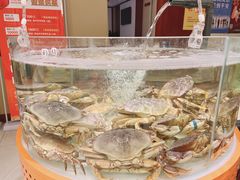 -万龙洲海鲜(大兴绿地缤纷城店)