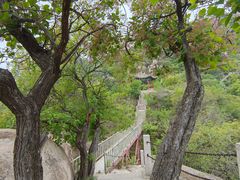 -北京凤凰岭