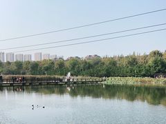 -前关湿地公园