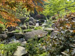 -大围山国家森林公园