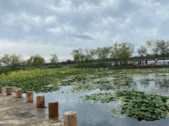 -绿堤公园