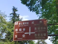 -青城山