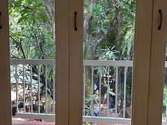 -Fern Forest Cafe
