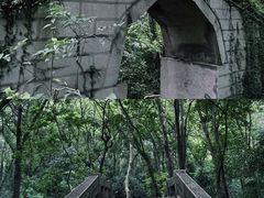 -青龙山国家森林公园