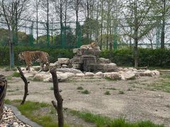 -上海野生动物园