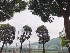 -一斗火锅·招财羊毛肚(泰吉滨江店)