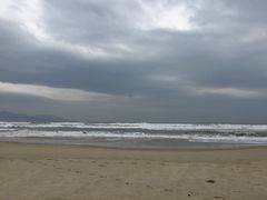 -红荔村肠粉(岗厦店)