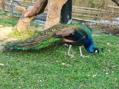 -李小龙乐园(顺德均安店)