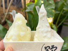 -野人先生Gelato(上海长宁龙之梦店)