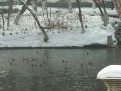 -水磨沟公园
