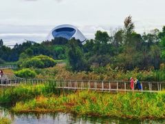 -哈尔滨大剧院