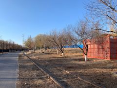 -永定河休闲森林公园