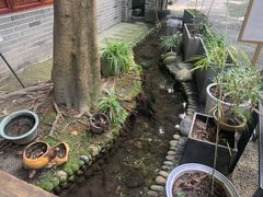 -老渔家鲜鱼轩(南浦横街店)
