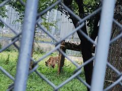 -上方山森林动物世界