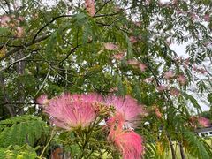 -梁鸿国家湿地公园