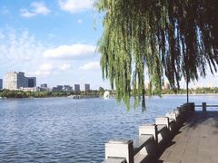 -聚龙湖公园