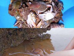 -前王院•巧克力海鲜市集餐厅(万平口店)