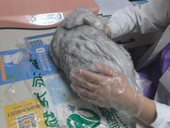 -瑞派宠物医院·24h·骨外科·皮肤科·全科宠物医疗转诊中心(沈阳浑南院)