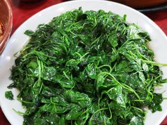 -公园饭店