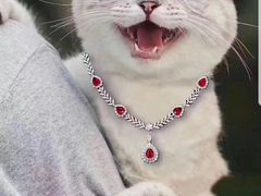 -老三烧烤(二环西路店)