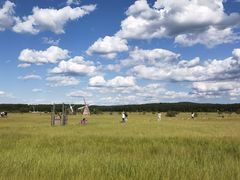 -塞罕坝国家级自然保护区