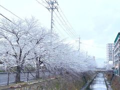-雾凇岛
