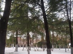 -雪枫公园