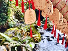 -莫里热带雨林景区
