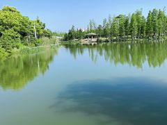 -瑶湖郊野森林公园